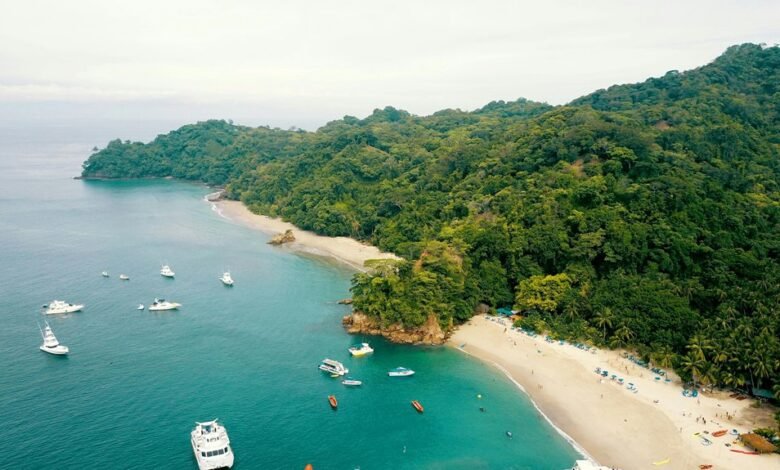 best surf camps costa rica