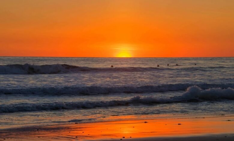 best surf camps costa rica