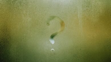 meaning and abbreviation of eol