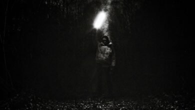 mysterious signals from unknown