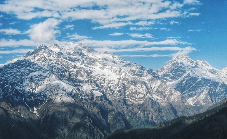 utilizing vsco search feature