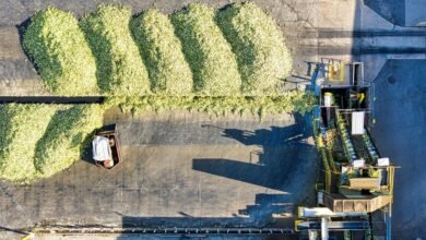 fpo corn significance explained