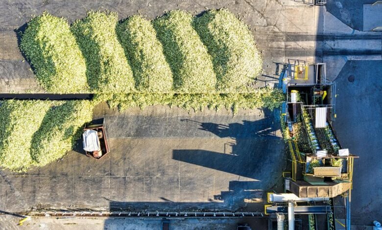 fpo corn significance explained