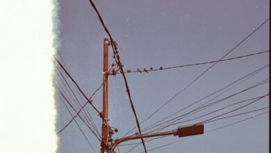 reliable support contact number