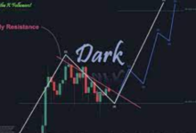 How Accurate are XRP Price Calculators? A Comprehensive Review
