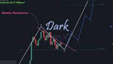 How Accurate are XRP Price Calculators? A Comprehensive Review