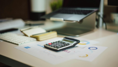 Living Without Tax Stress: A Guide To Recovery and Renewal