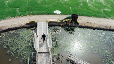 Why Commercial Wastewater Treatment Is Important for Public Health? 